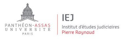 logo_iej_pierre_raynaud